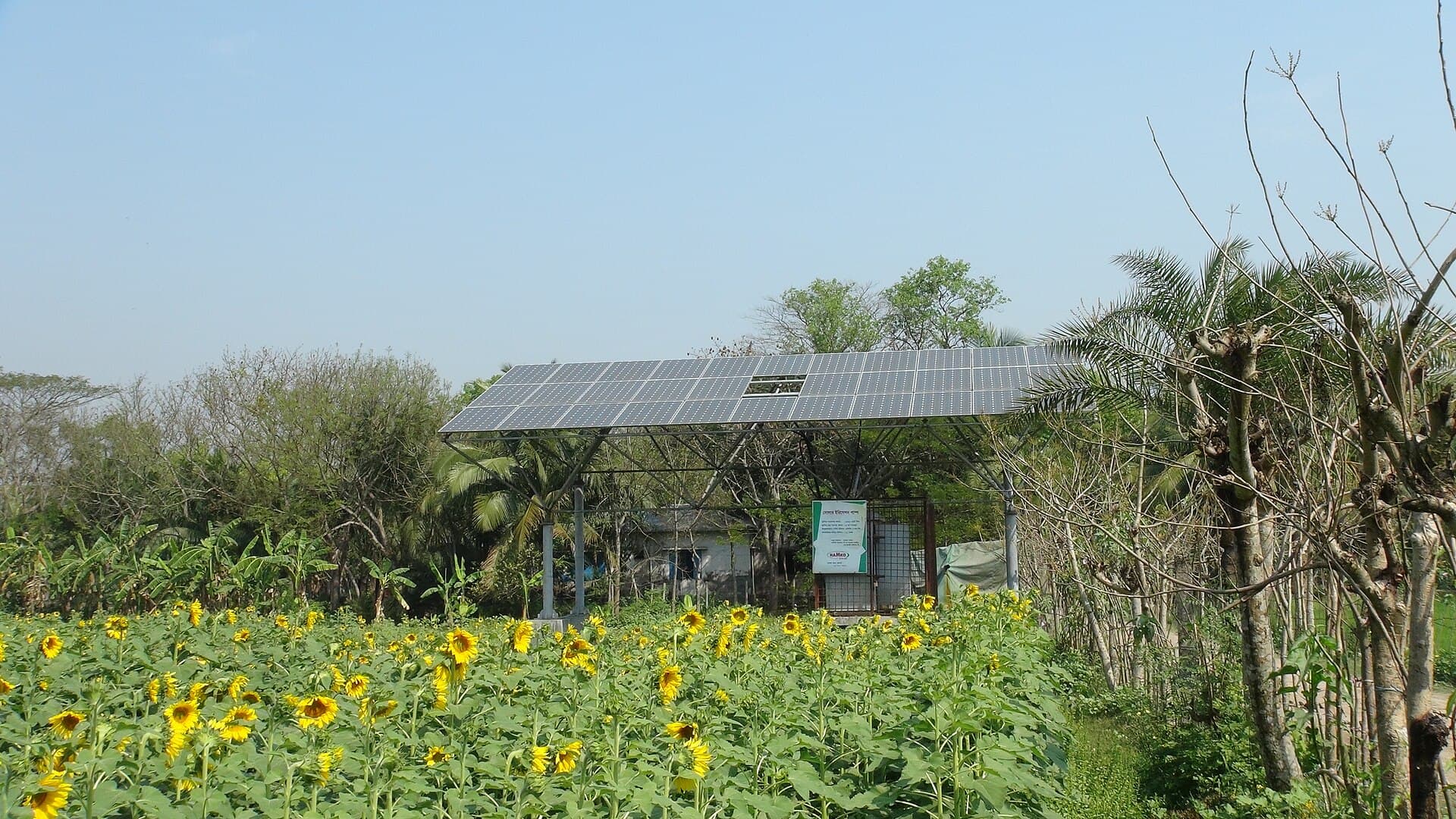 Solar Irrigation Pumps